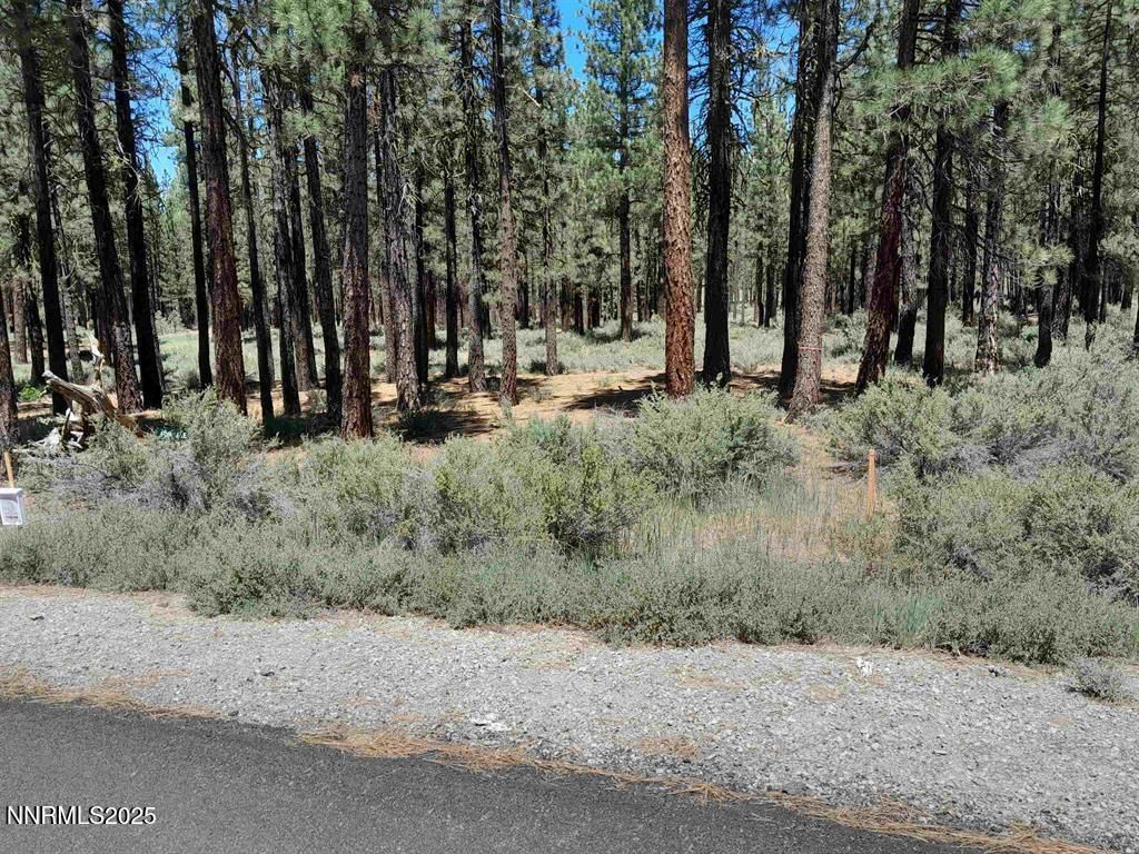 MLS #250051726 image #0