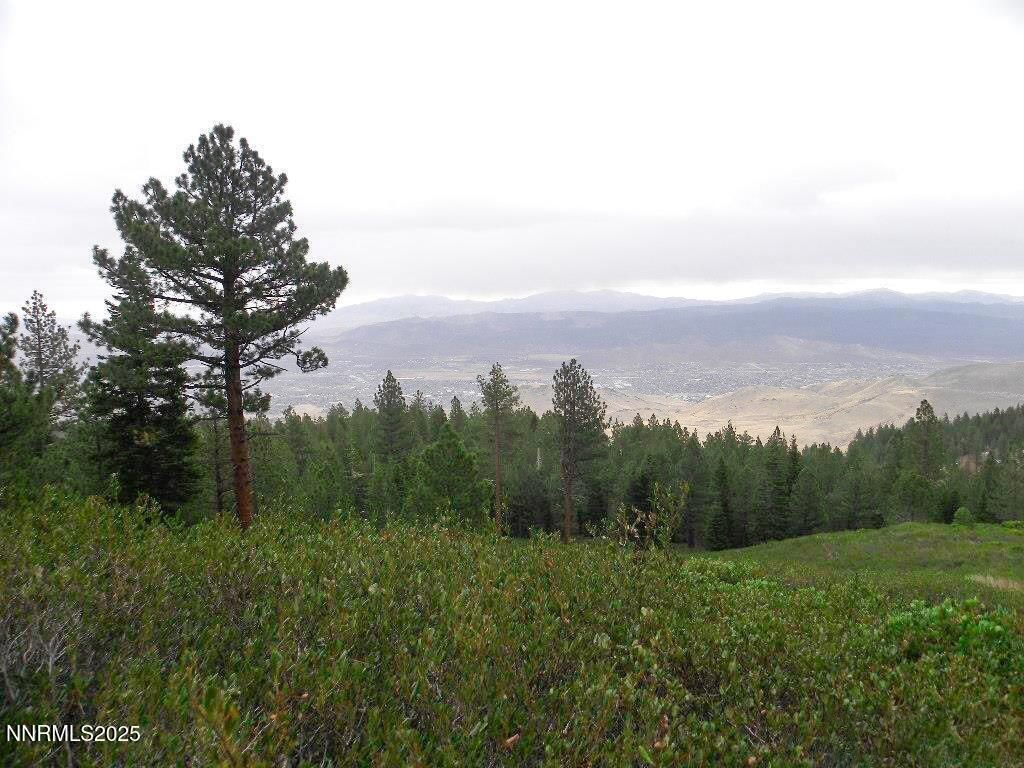 MLS #250051986 image #0