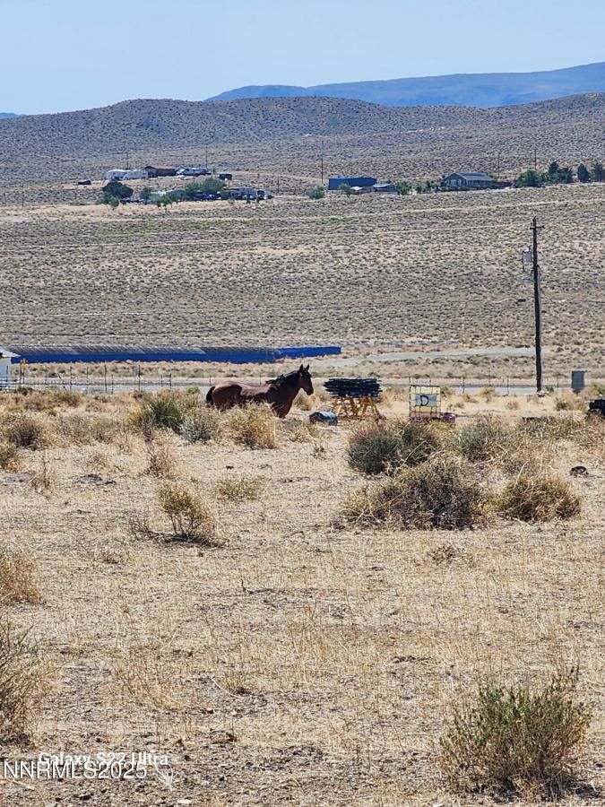 MLS #250052163 image #0