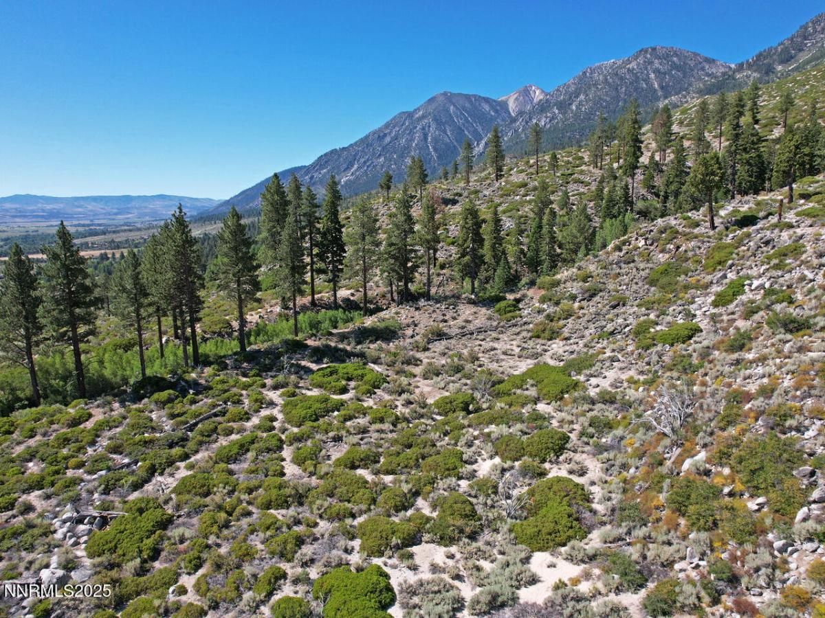 MLS #250052486 image #0