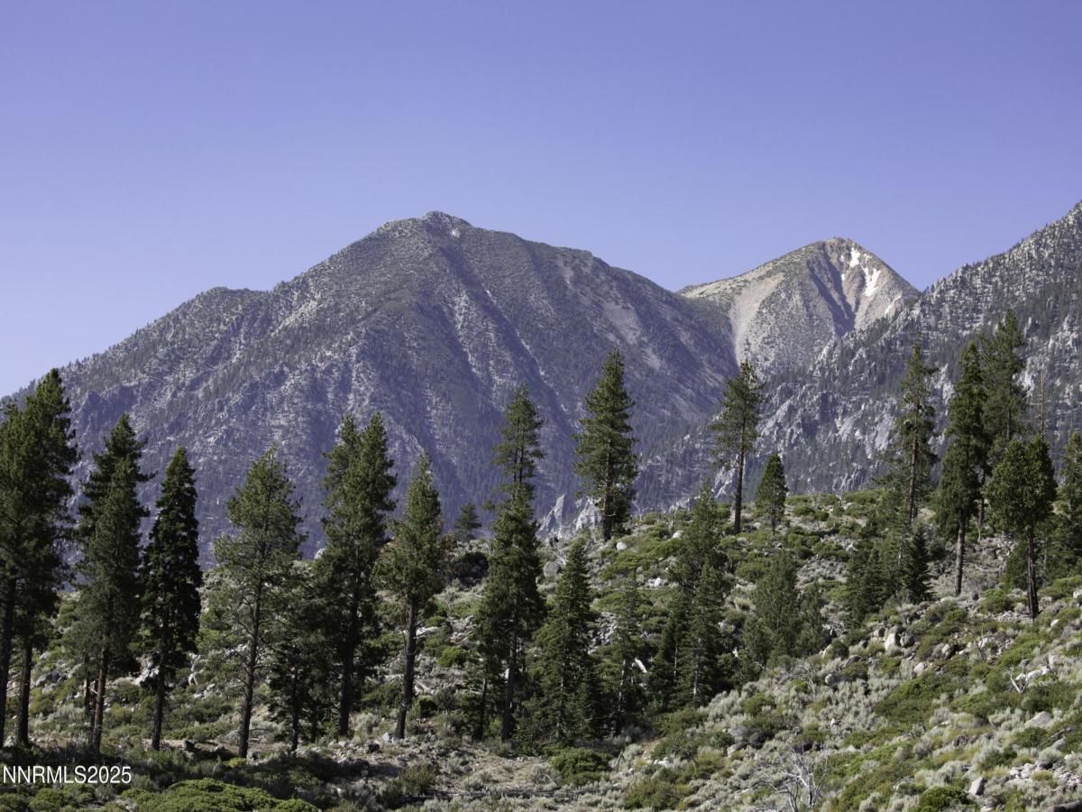 MLS #250052486 image #0