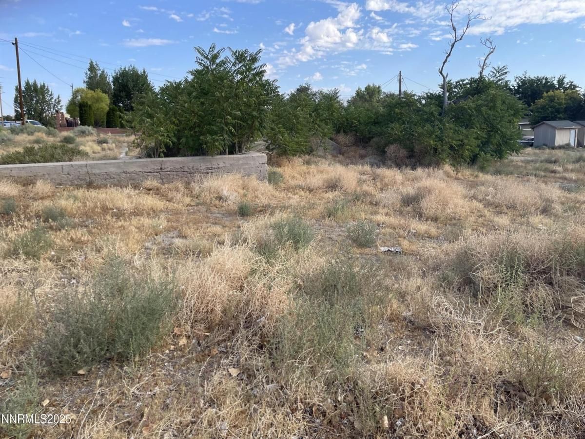 MLS #250053039 image #0