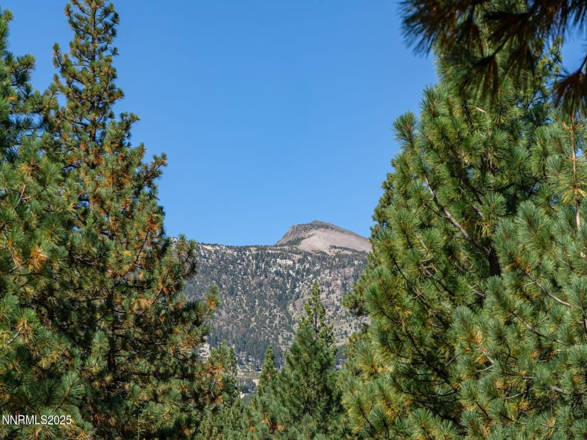 MLS #250054842 image #0