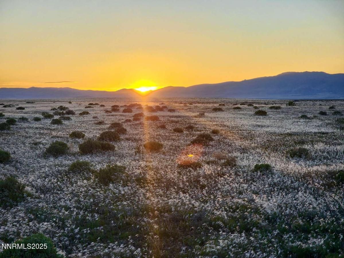 MLS #250055483 image #0