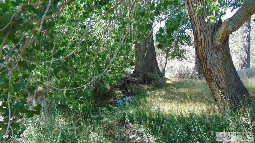 MLS #250056286 image #0