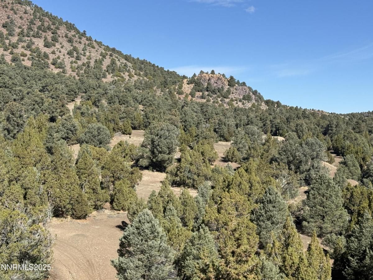 MLS #250057577 image #0