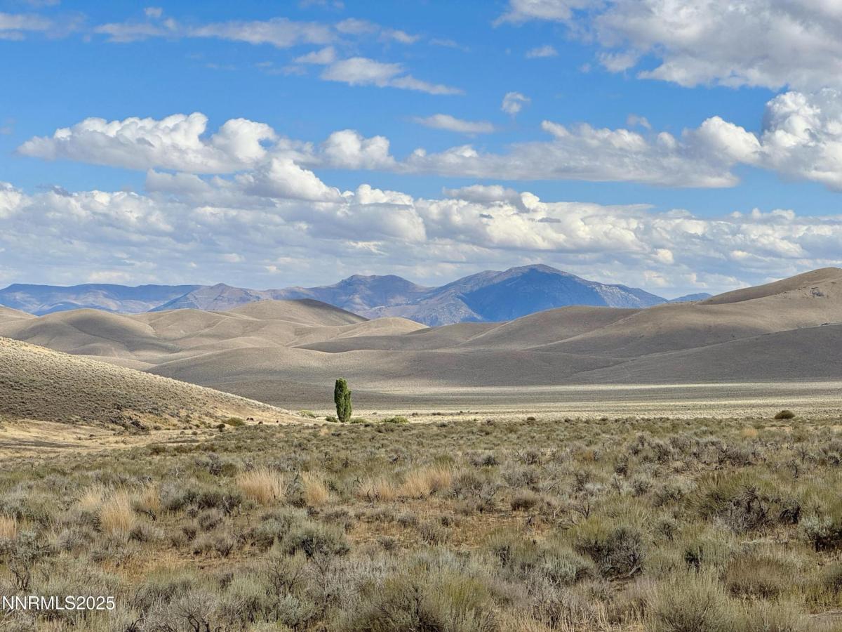 MLS #250057895 image #0