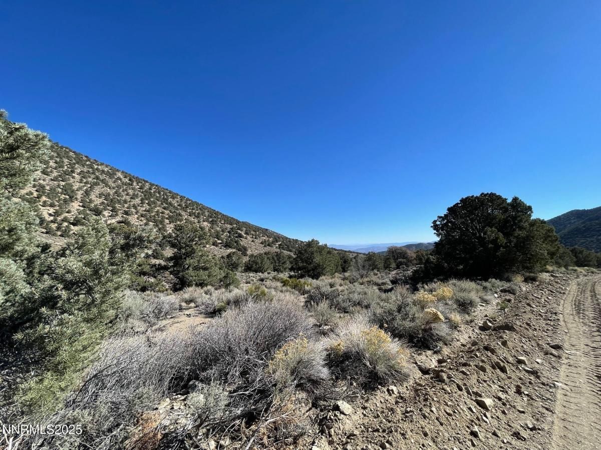 MLS #250058050 image #0