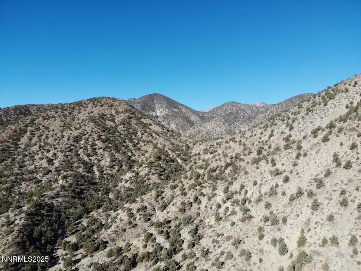 MLS #250058052 image #0