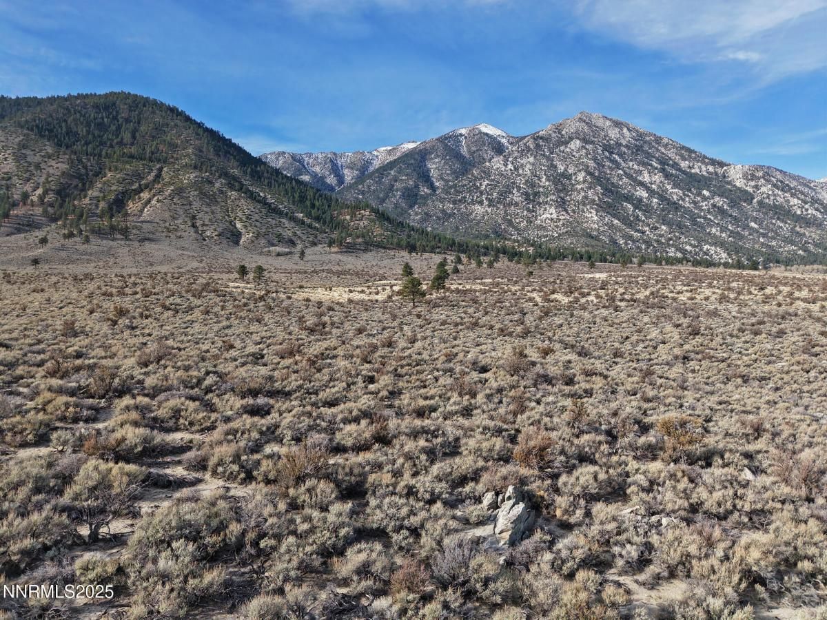 MLS #260000146 image #0