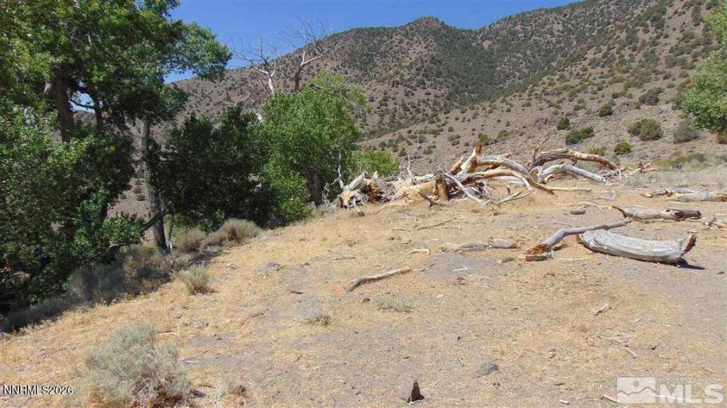 MLS #260000489 image #0