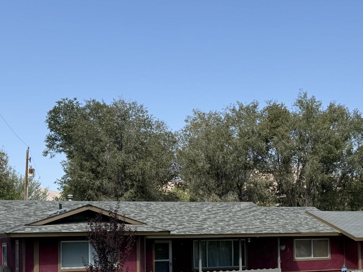 MLS #260011331 image #0