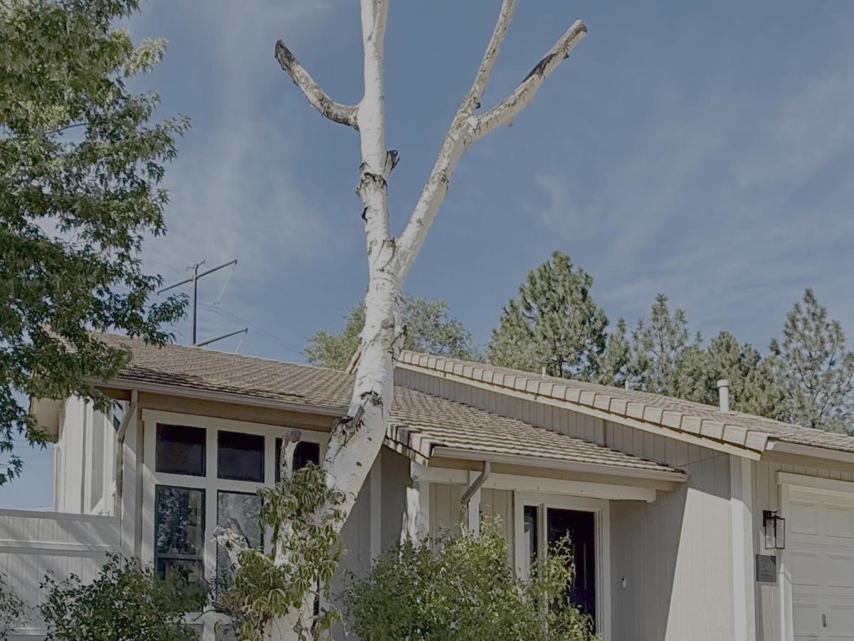 MLS #260011460 image #0