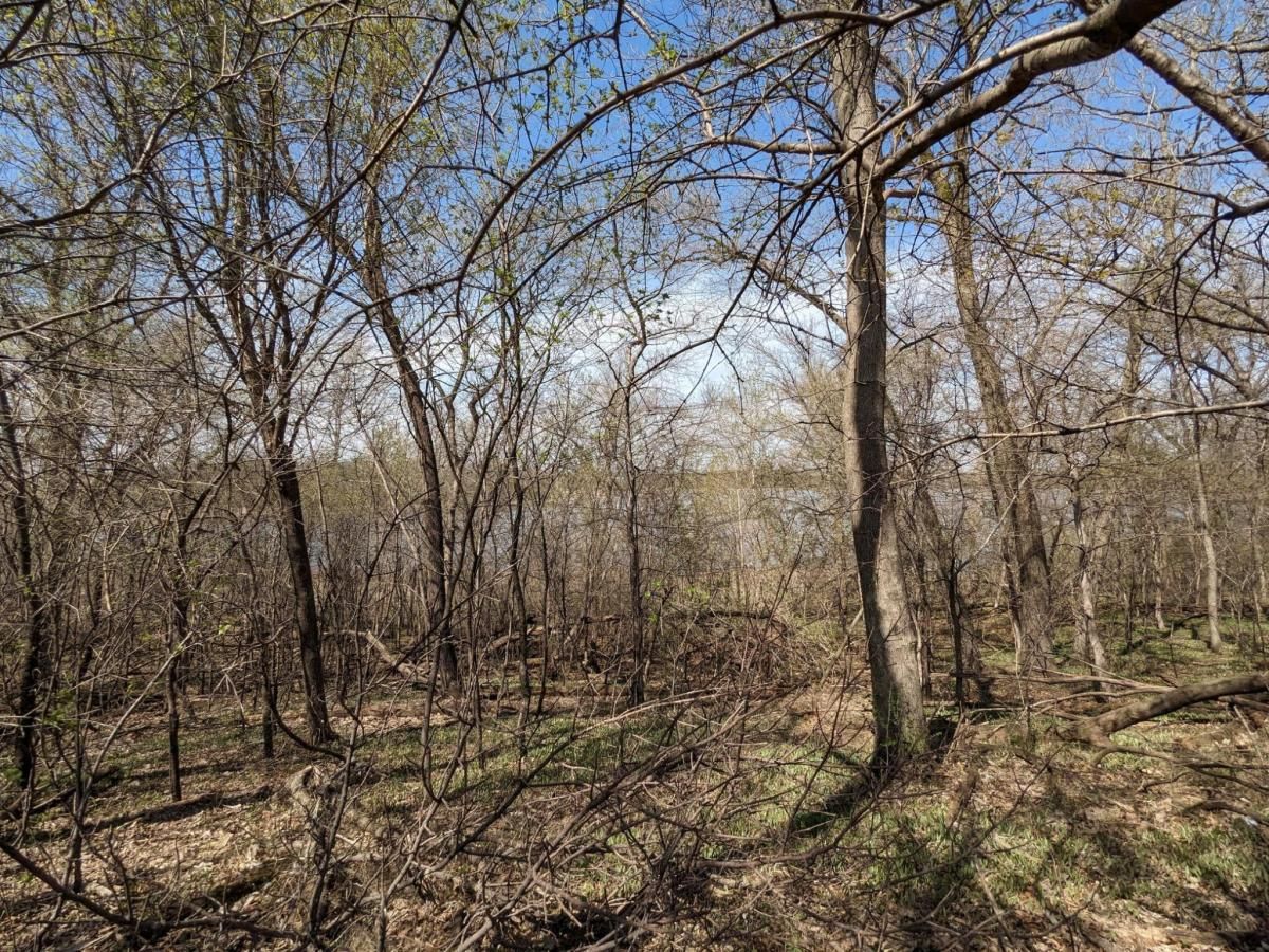 MLS #NST6365344 image #0