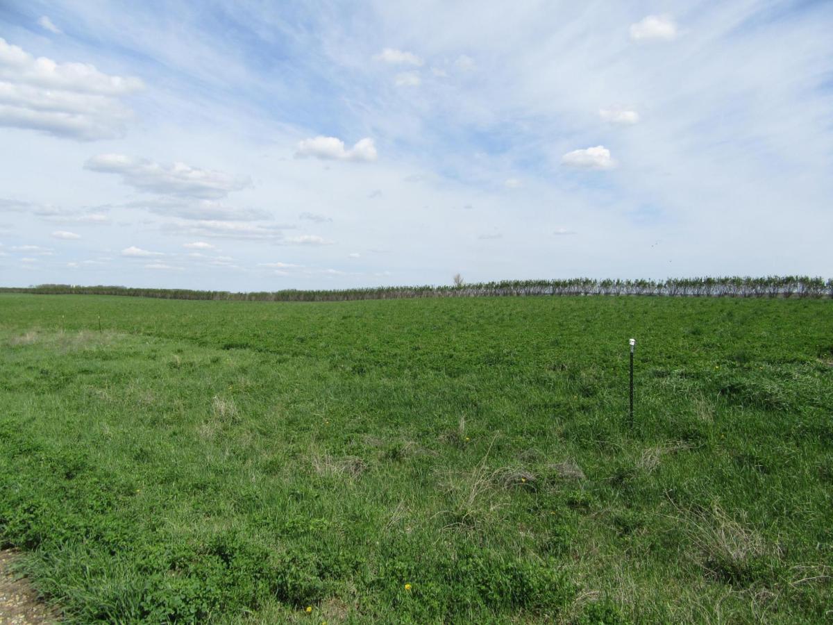 MLS #NST6488065 image #0