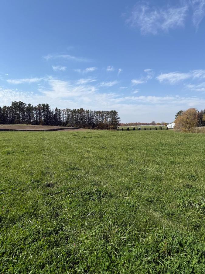 MLS #NST6495806 image #0