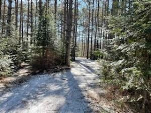 MLS #NST6503249 image #0