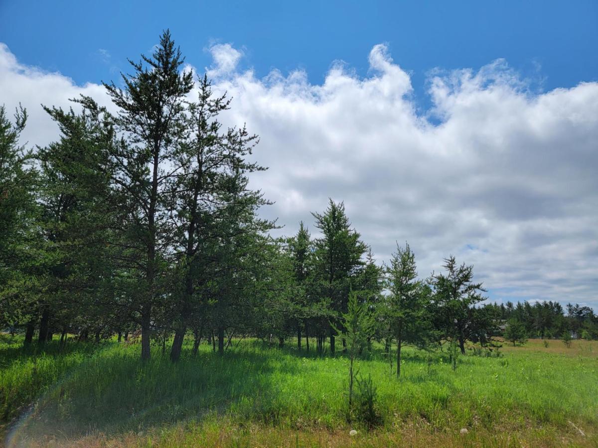 MLS #NST6560874 image #0