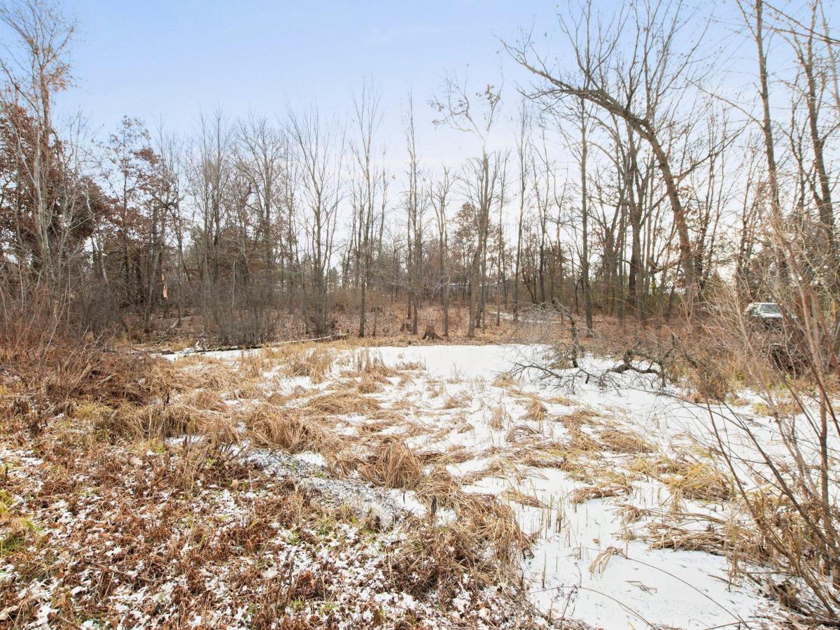 MLS #NST6635424 image #0