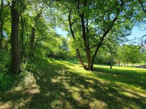 MLS #NST6678193 image #0