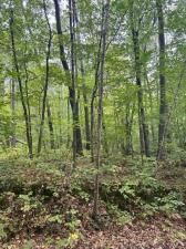 MLS #NST6685635 image #0