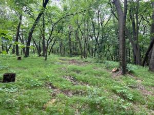 MLS #NST6690517 image #0