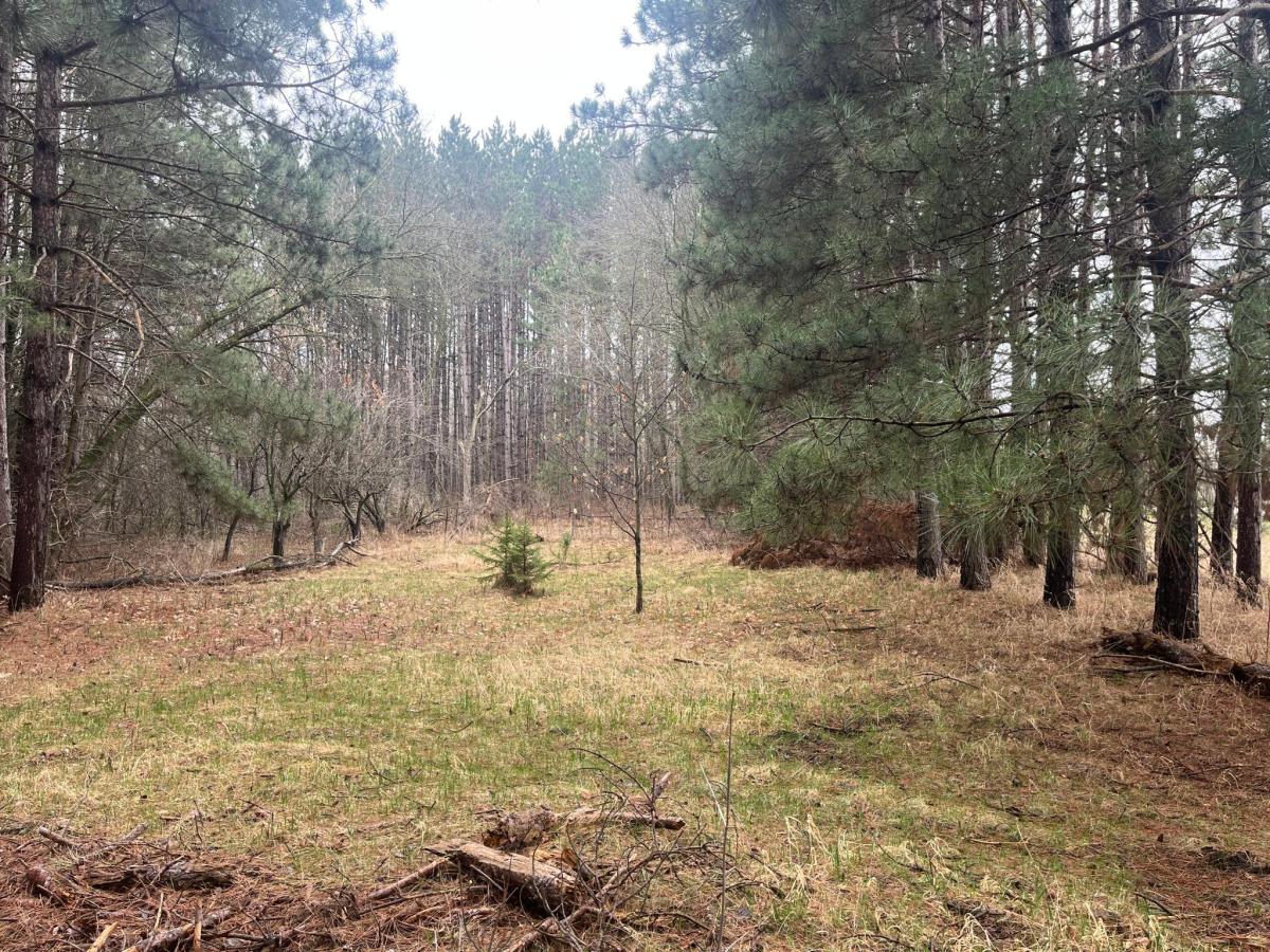 MLS #NST6711189 image #0