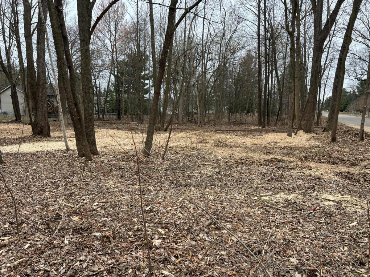 MLS #NST6714544 image #0