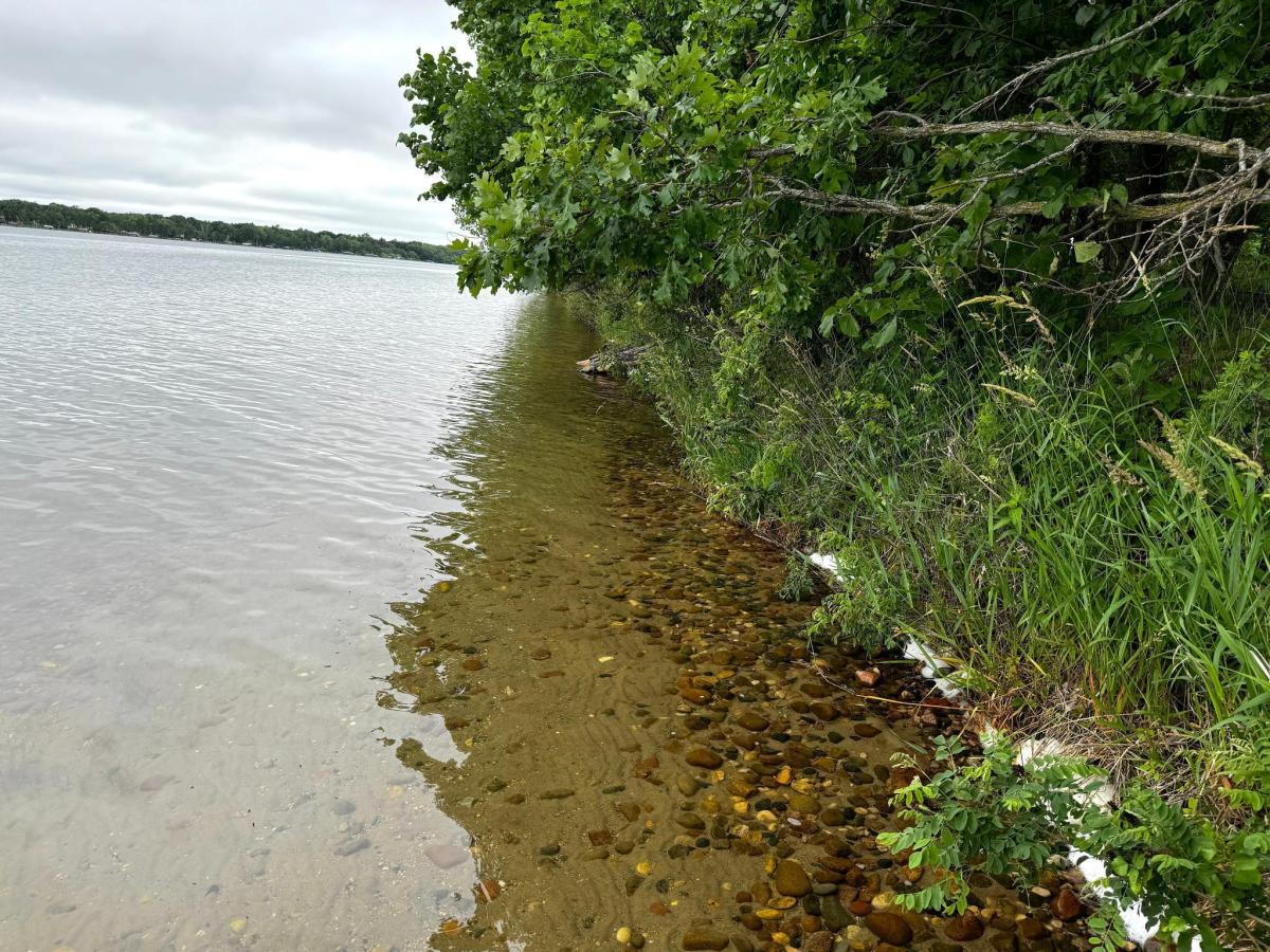 MLS #NST6731744 image #0