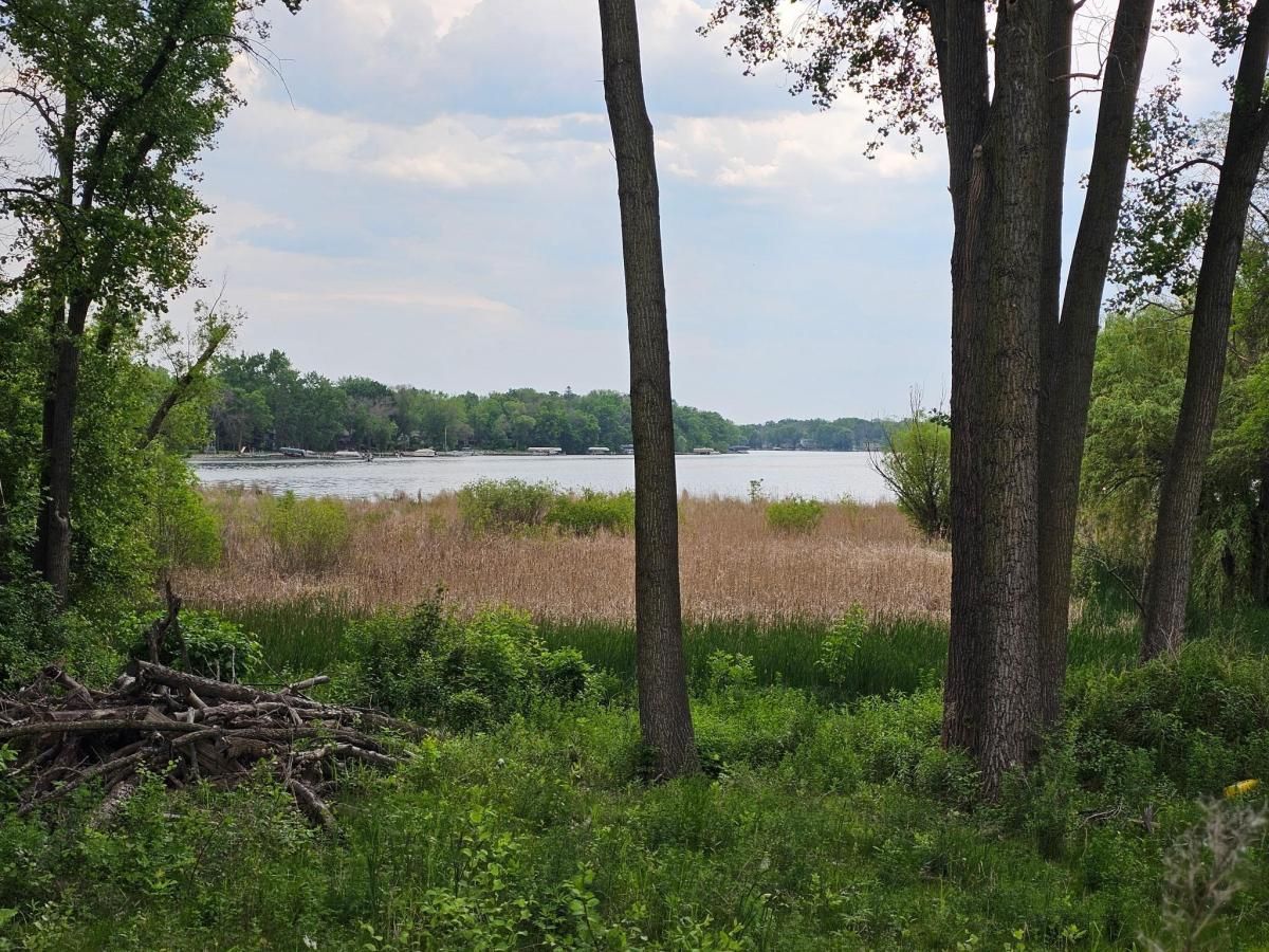 MLS #NST6734304 image #0