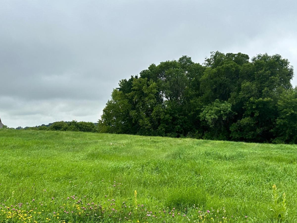 MLS #NST6740544 image #0