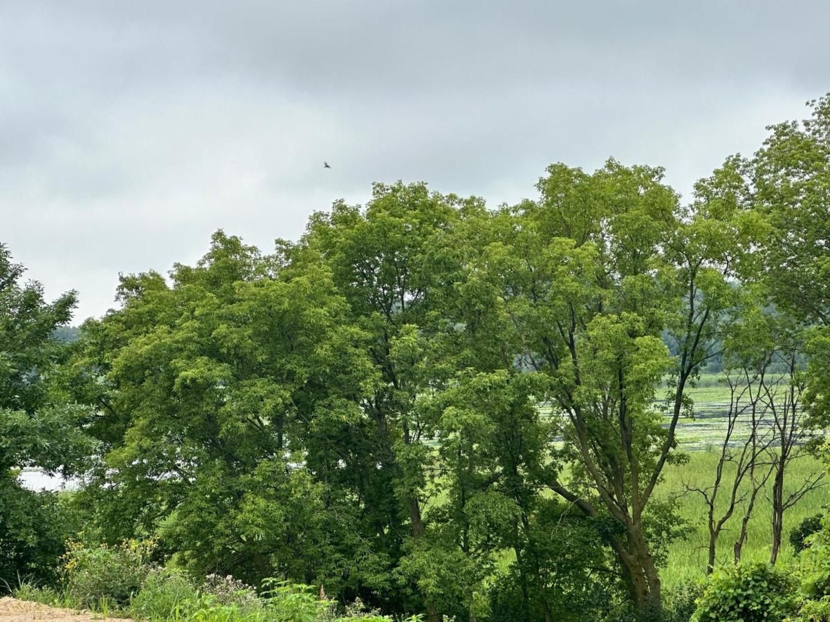 MLS #NST6740544 image #0