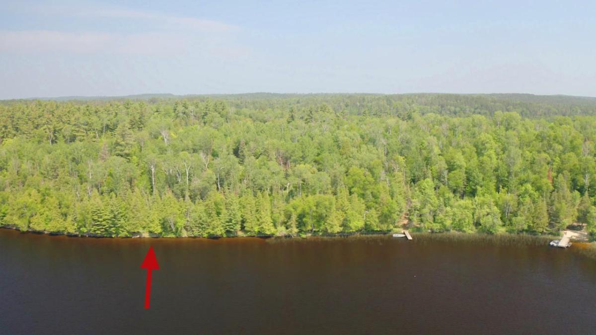 MLS #NST6747530 image #0