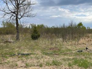 MLS #NST6758597 image #0