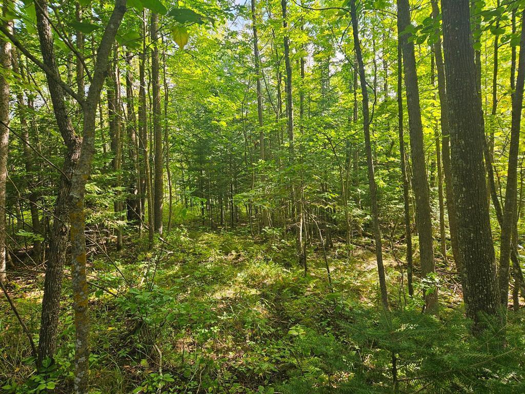 MLS #NST6774203 image #0