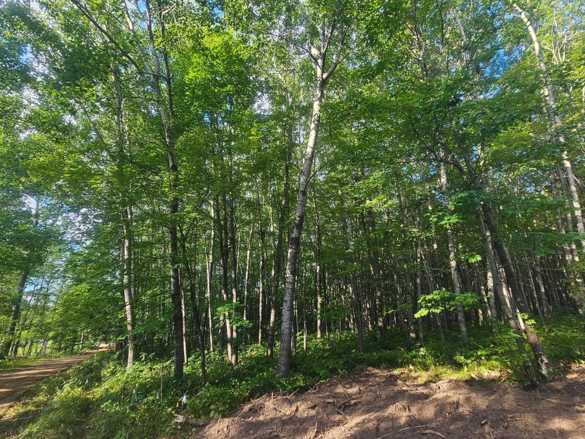MLS #NST6779102 image #0