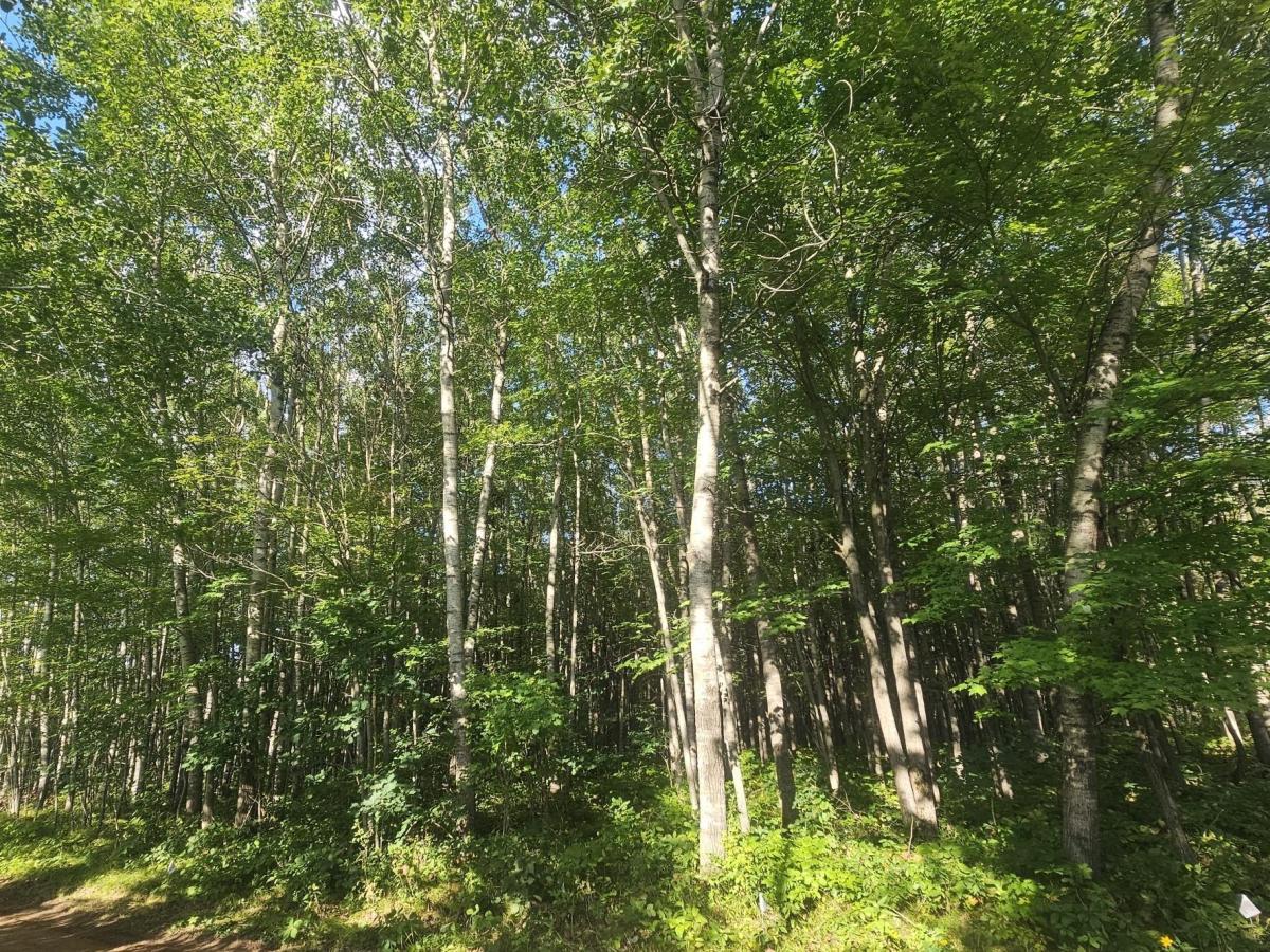 MLS #NST6780137 image #0