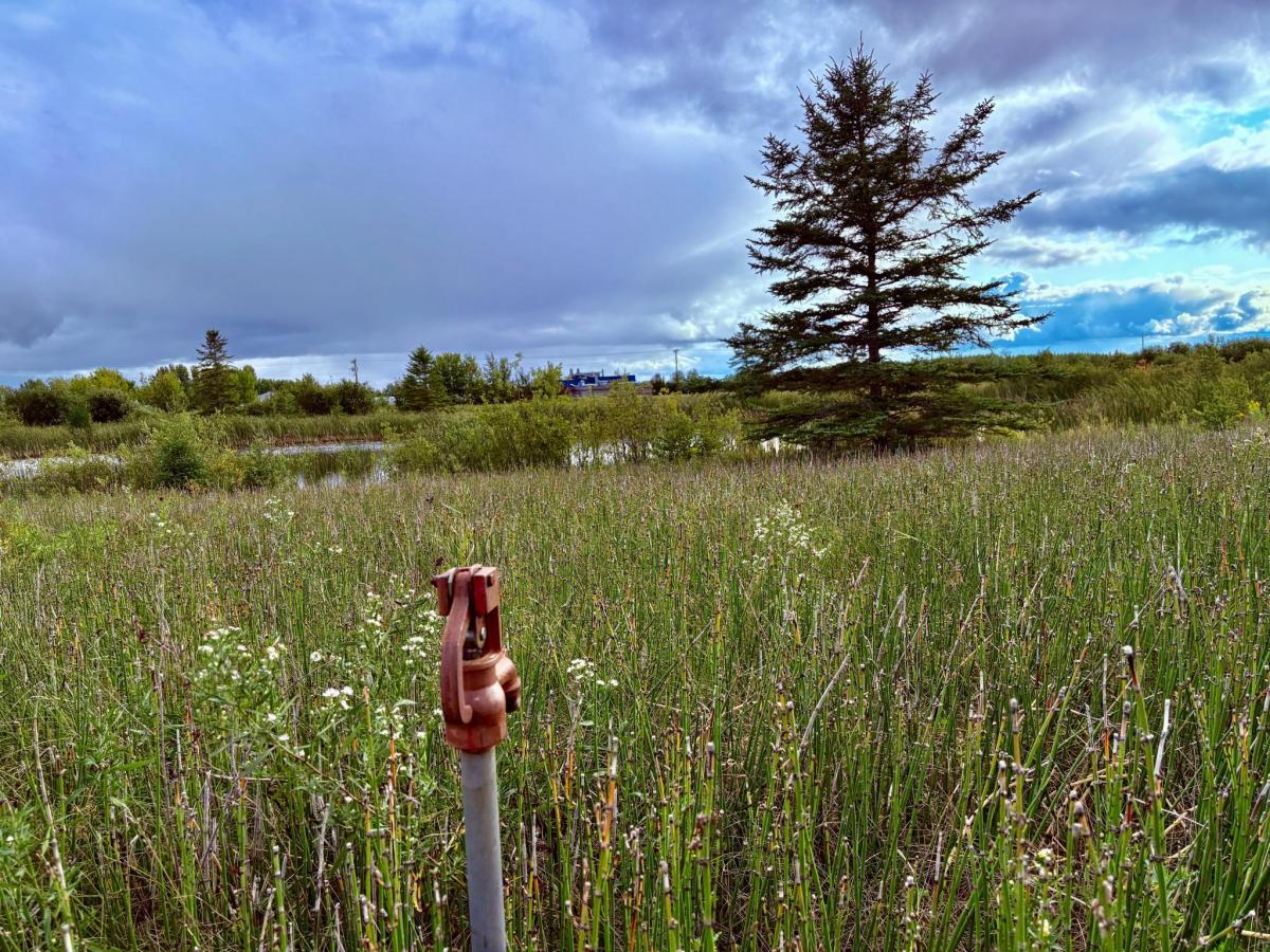 MLS #NST6782505 image #0