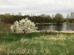 MLS #NST6792804 image #0