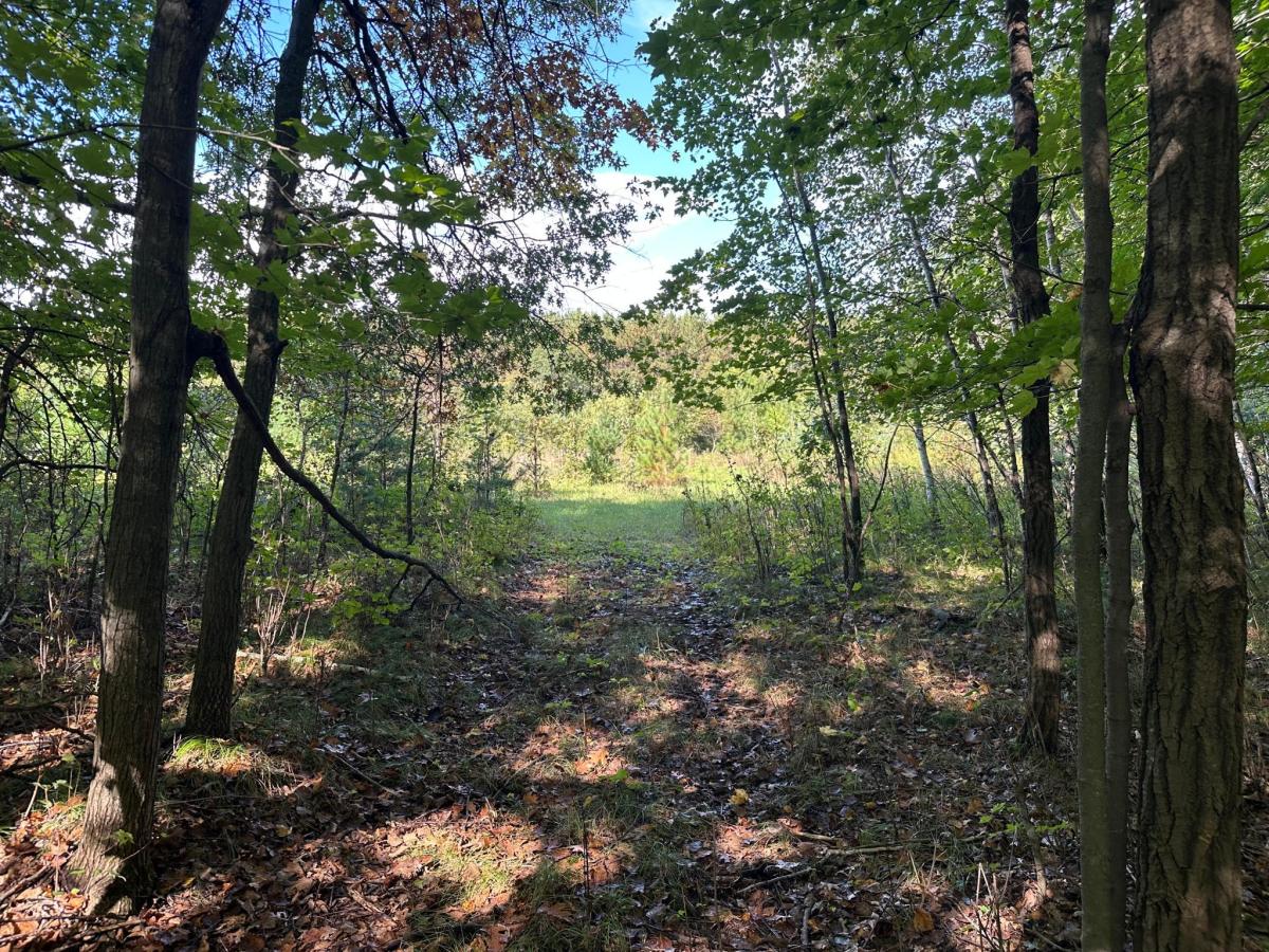 MLS #NST6795342 image #0