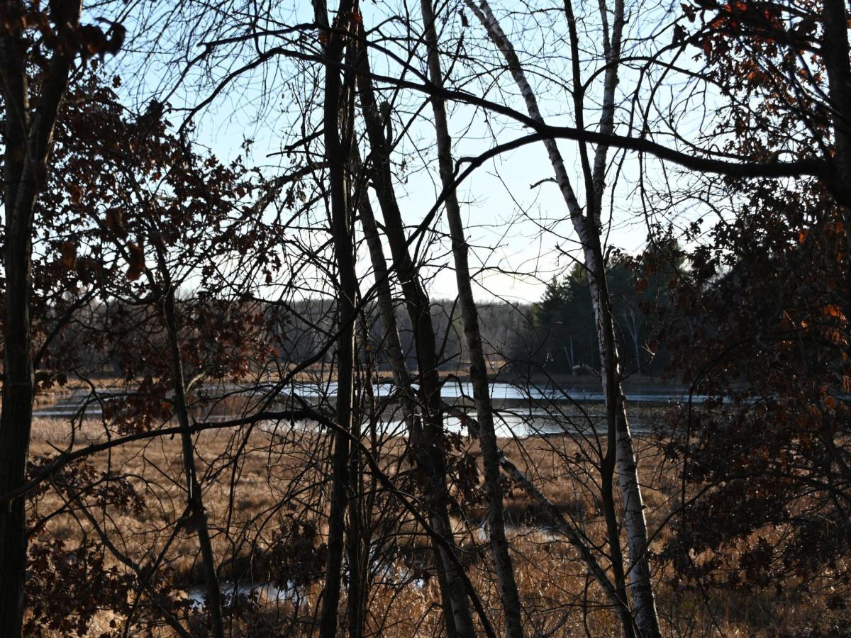 MLS #NST6810494 image #0