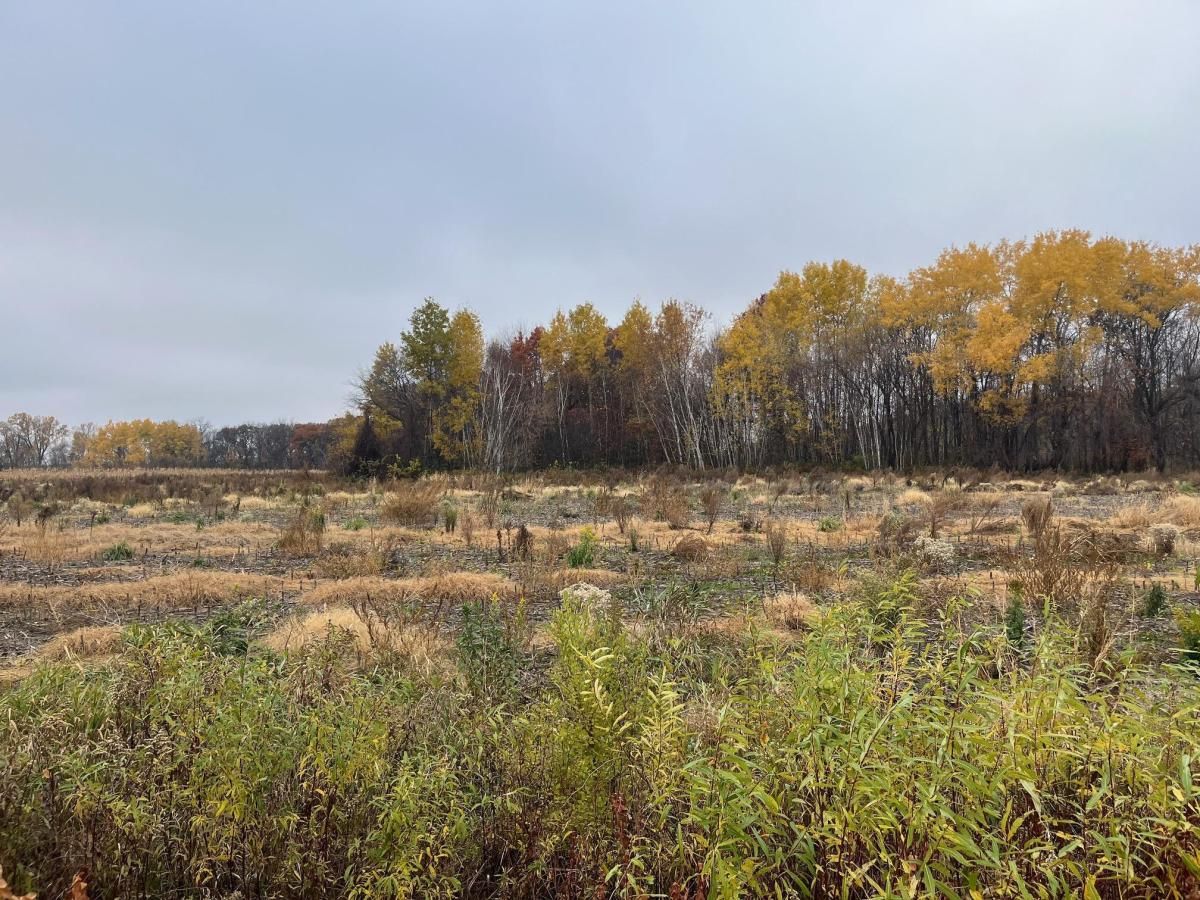 MLS #NST6810864 image #0