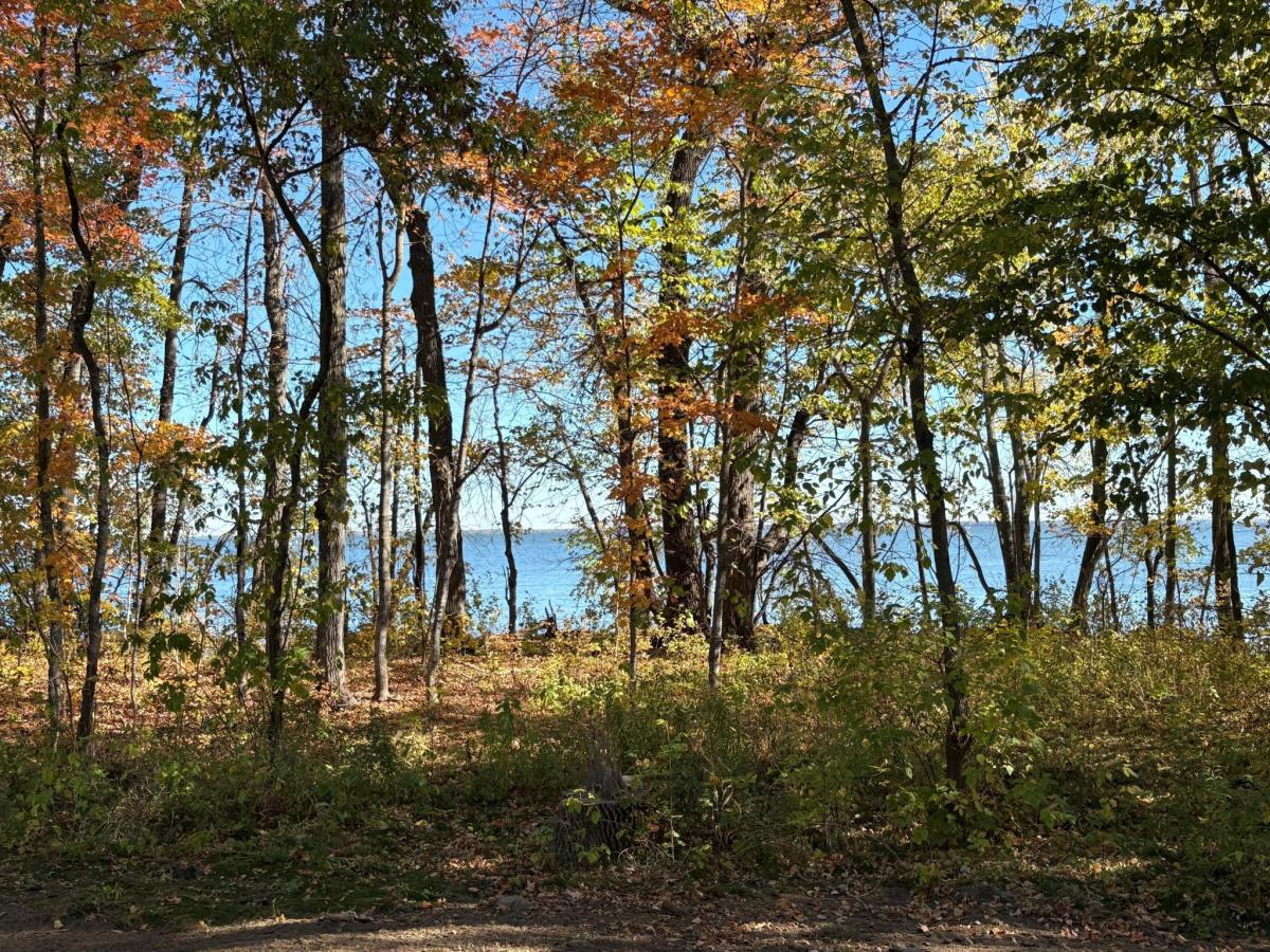 MLS #NST6813139 image #0