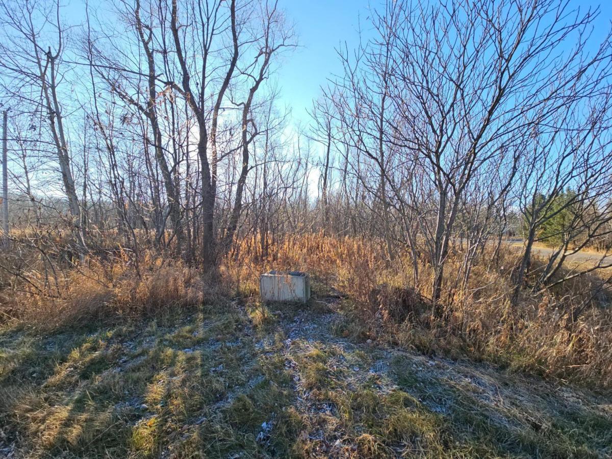 MLS #NST6820657 image #0