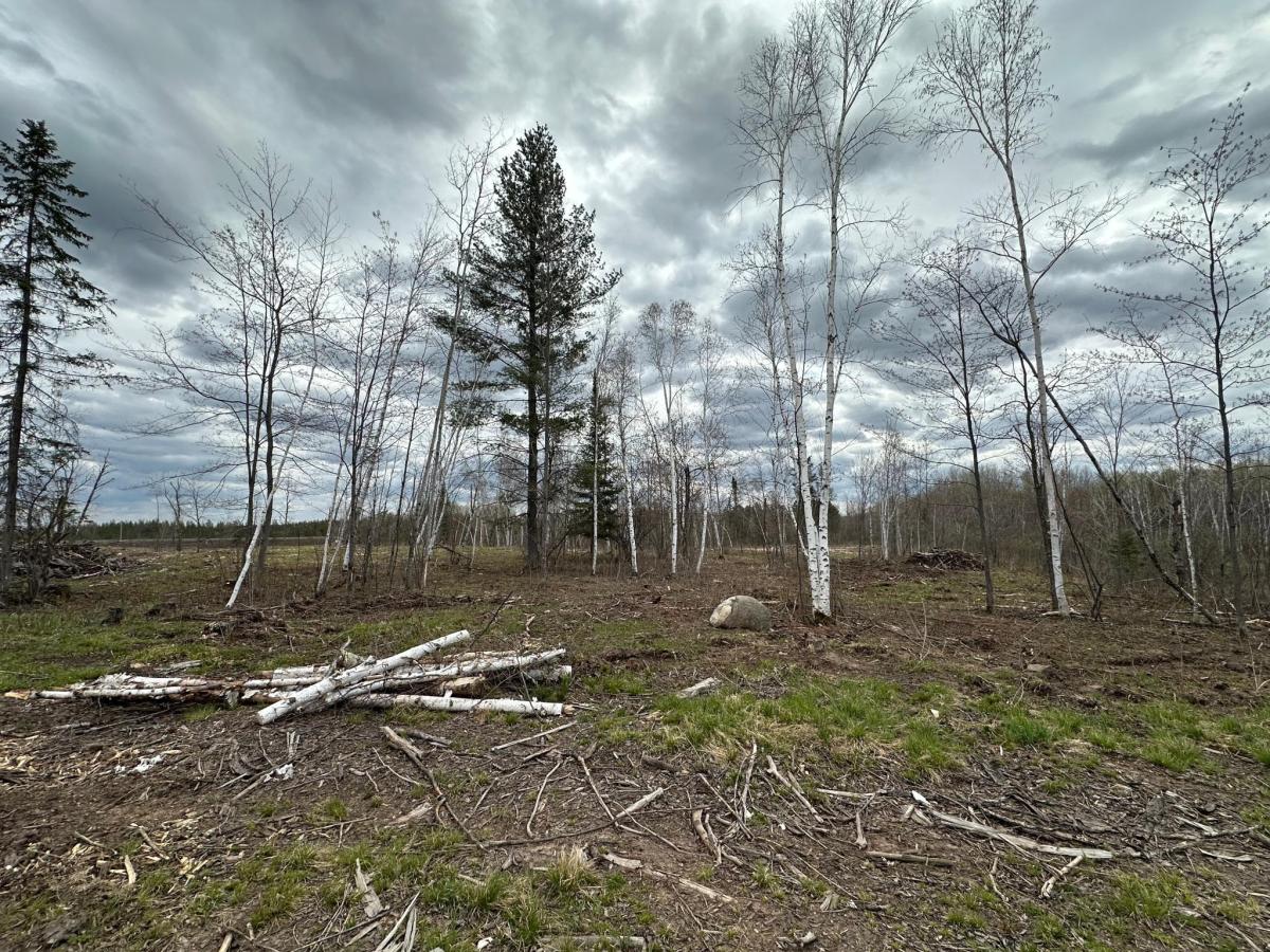 MLS #NST7002698 image #0