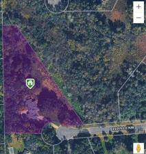 MLS #NST7004759 image #0