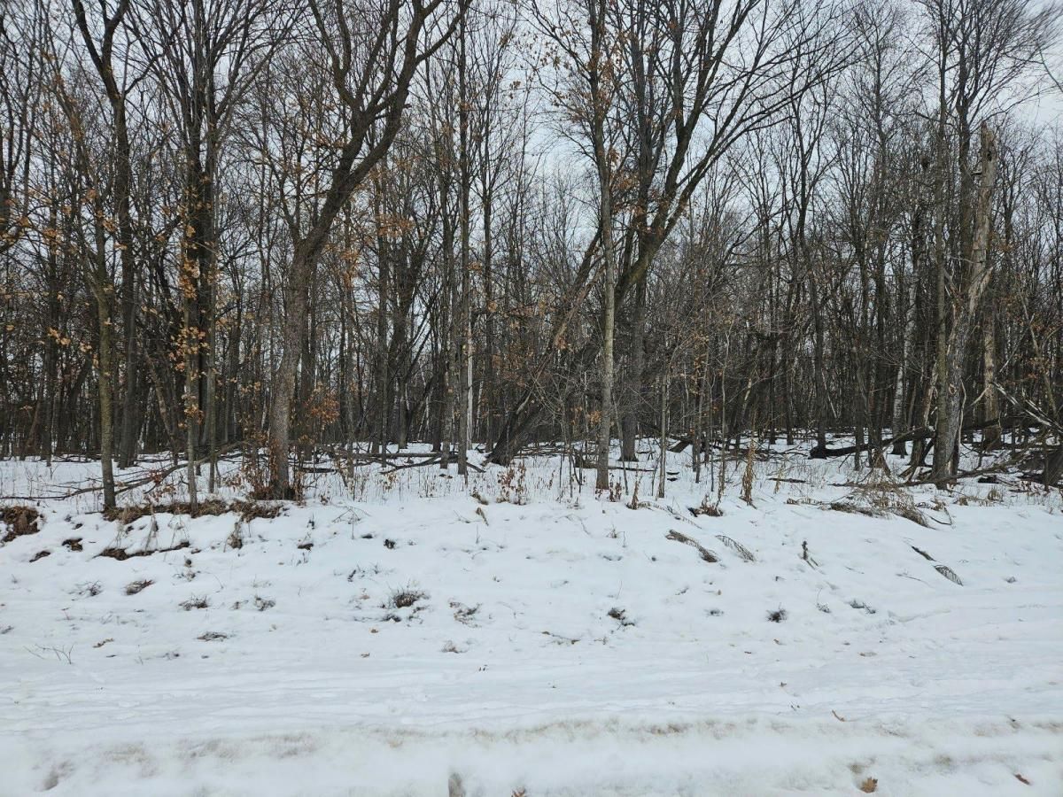 MLS #NST7006395 image #0