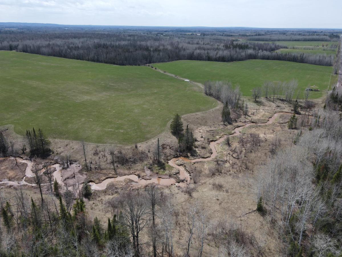 MLS #NST7012527 image #0