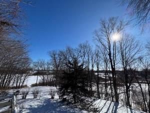 MLS #NST6778446 image #0