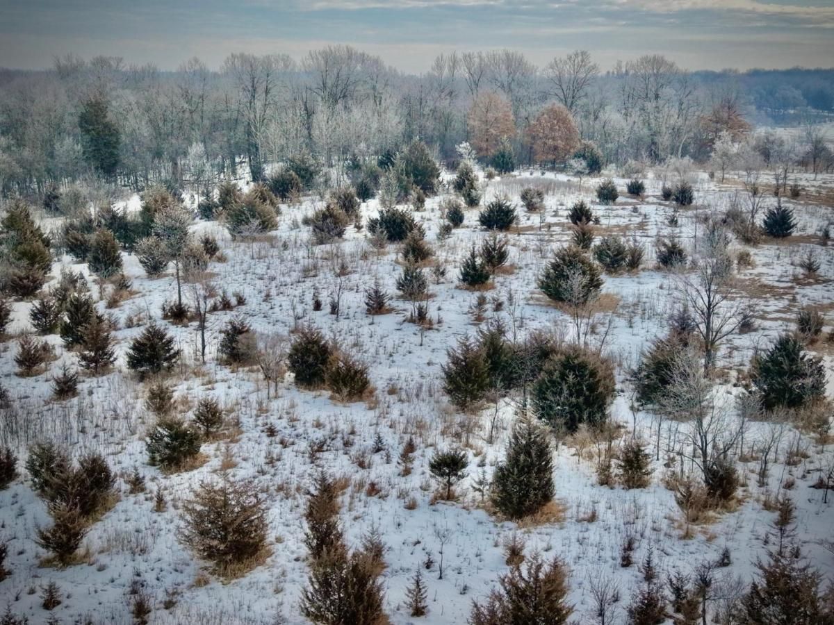 MLS #NST7020942 image #0